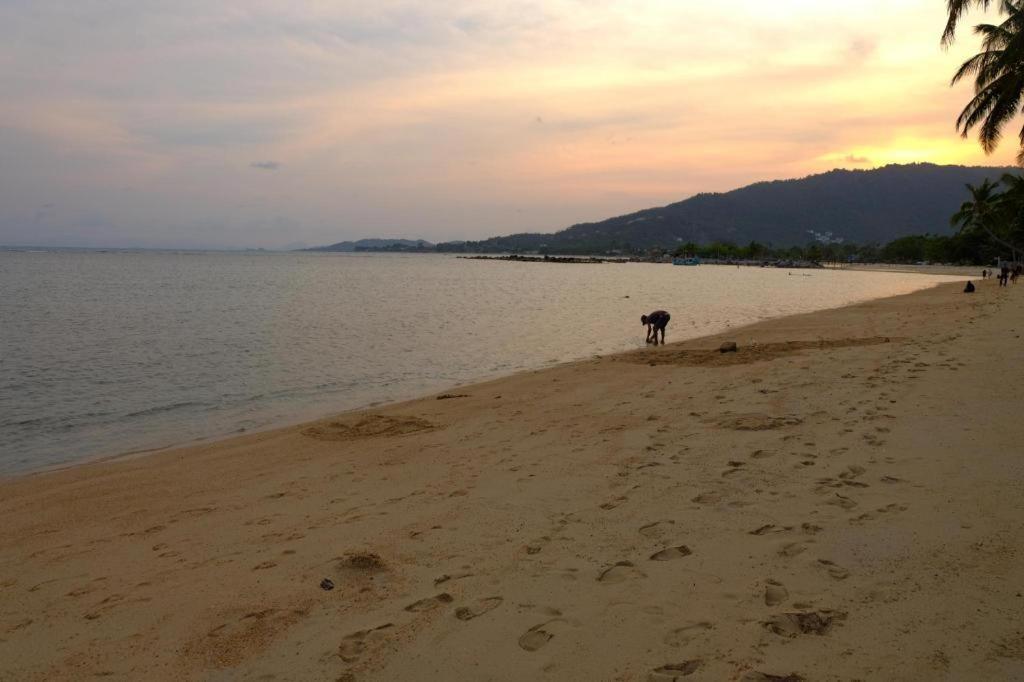 Rose Garden Samui Bungalows 拉迈海滩 外观 照片