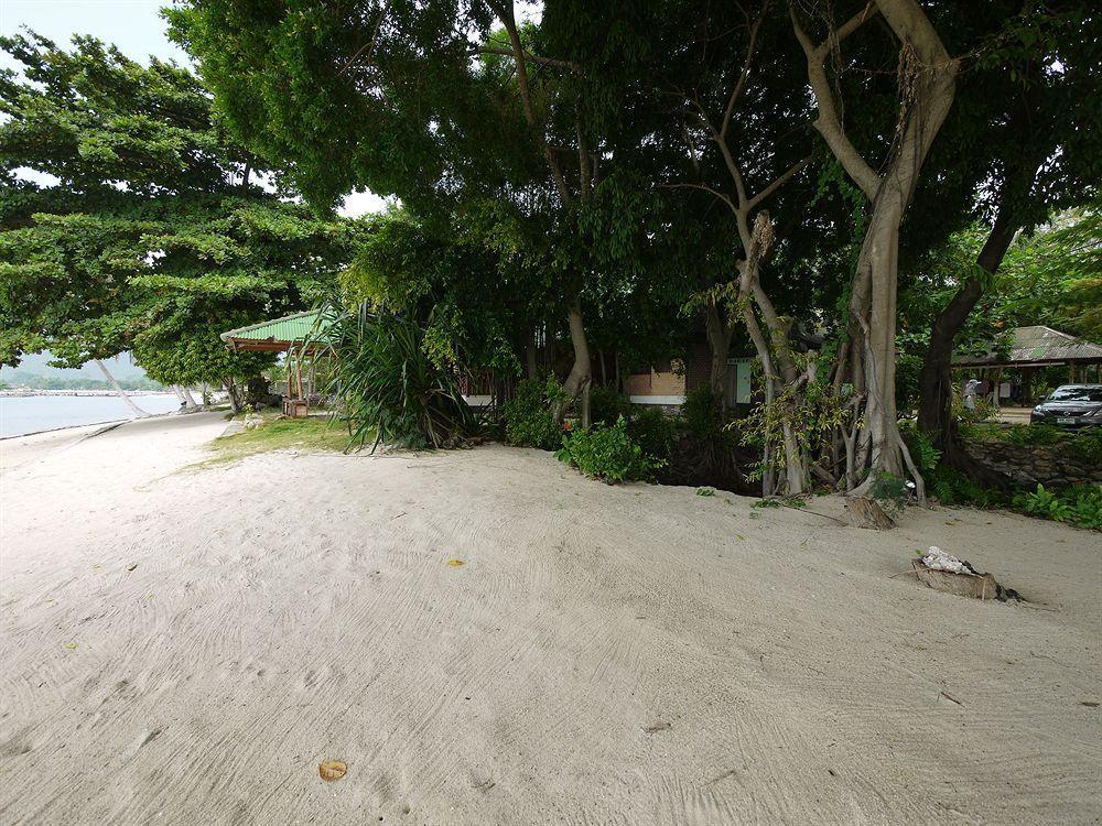 Rose Garden Samui Bungalows 拉迈海滩 外观 照片