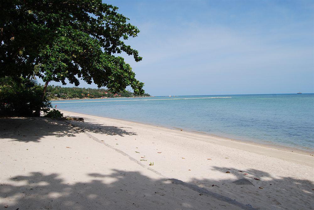 Rose Garden Samui Bungalows 拉迈海滩 外观 照片